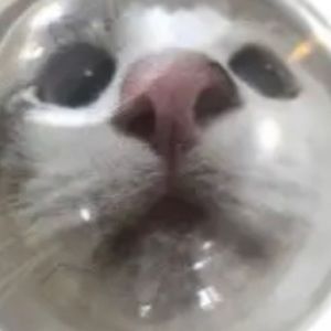 Meet your Posher, Jacie